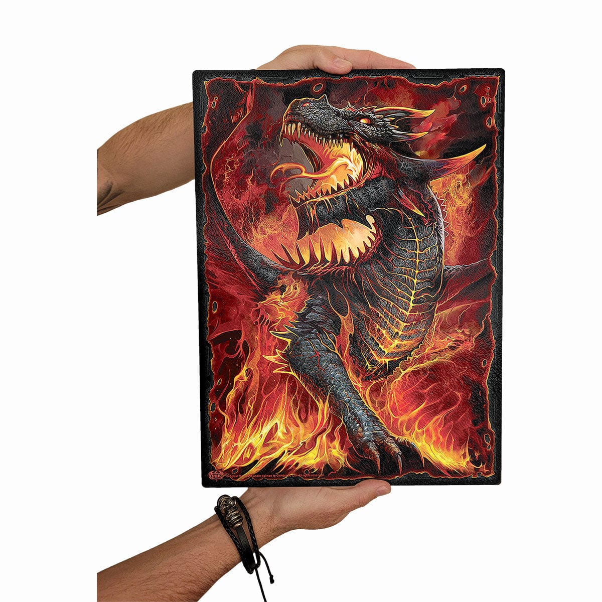 DRACONIS - Glass Chopping Board (Rectangular) - Spiral USA