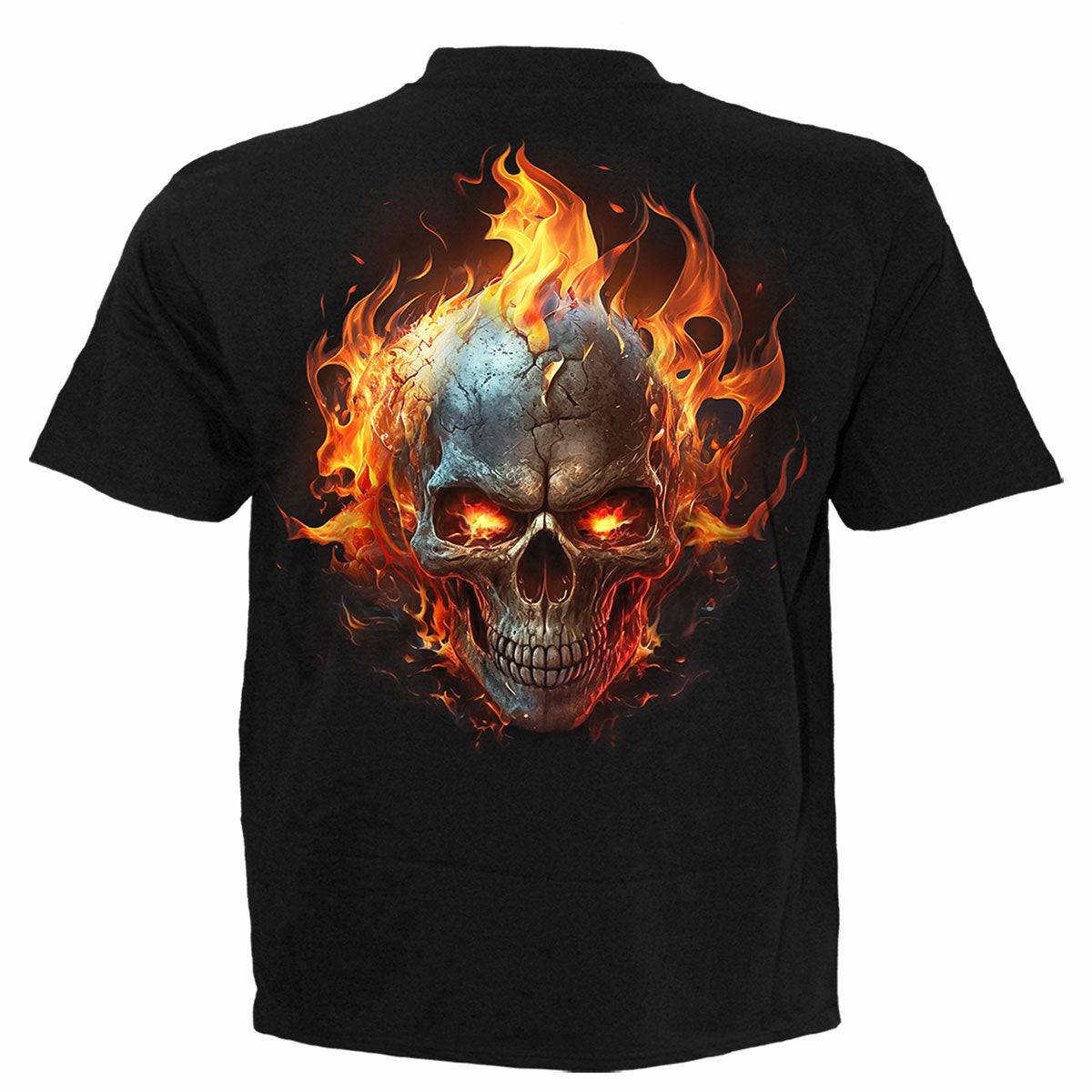 NIGHT RIDER - T-Shirt Black – Spiral USA