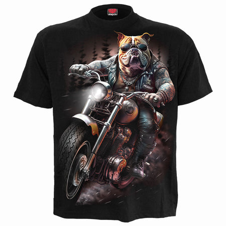 dog town motor cycle 黒 Mサイズ Tシャツ 90s ドッグタウン dogtown motorcycle tシャツ xl レア - メルカリ